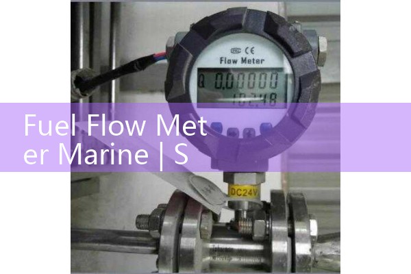 fuel flow meter marine